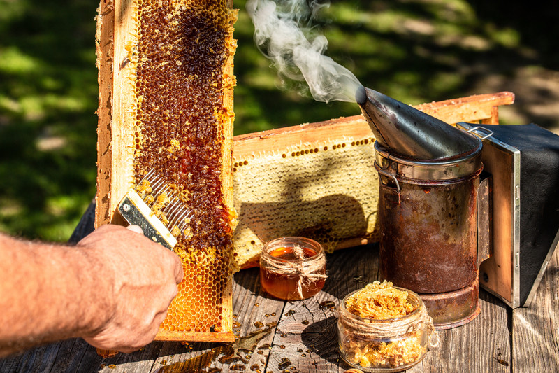 Producer Spotlight: Bee Hollow Farm & Apiary