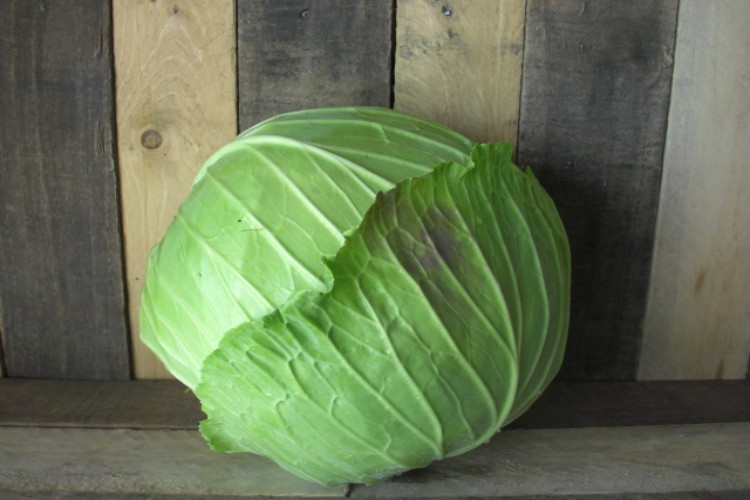 Copenhagen Cabbage