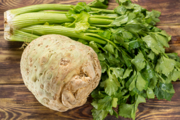 Celeriac Bulb